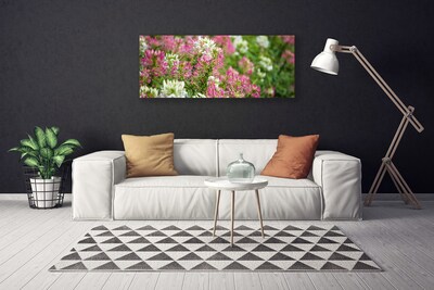 Foto quadro su tela Fiori di campo della natura