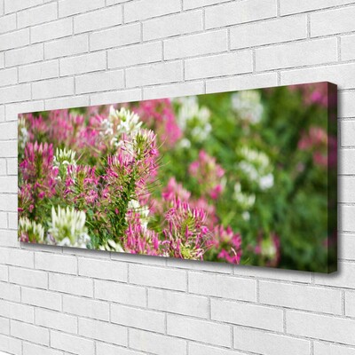 Foto quadro su tela Fiori di campo della natura