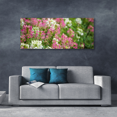 Foto quadro su tela Fiori di campo della natura