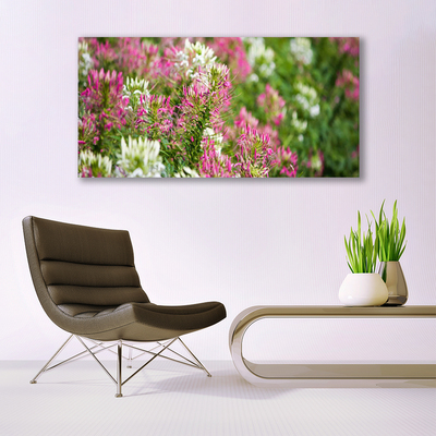 Foto quadro su tela Fiori di campo della natura