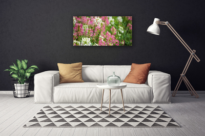 Foto quadro su tela Fiori di campo della natura