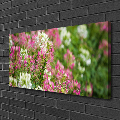 Foto quadro su tela Fiori di campo della natura