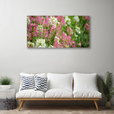 Foto quadro su tela Fiori di campo della natura