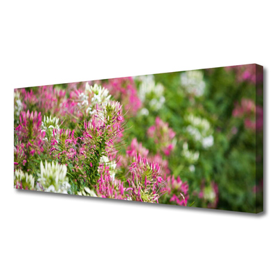 Foto quadro su tela Fiori di campo della natura