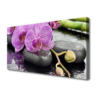 Quadro stampa su tela Orchidea Zen Orchidea Spa