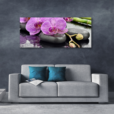 Quadro stampa su tela Orchidea Zen Orchidea Spa