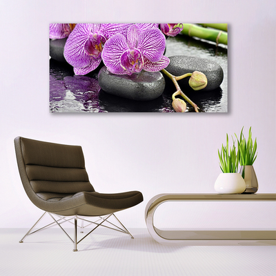 Quadro stampa su tela Orchidea Zen Orchidea Spa