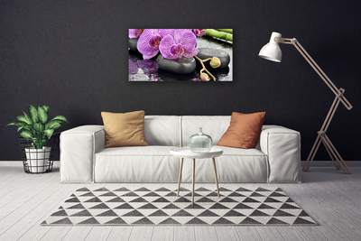 Quadro stampa su tela Orchidea Zen Orchidea Spa