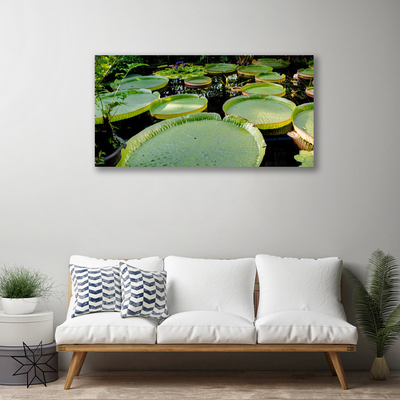 Quadro su tela Foglie del lago della natura