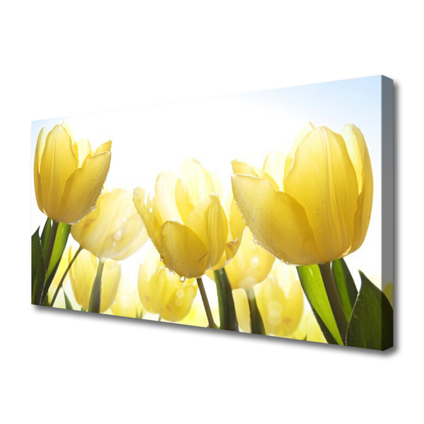 Quadro su tela Tulipani, fiori, raggi