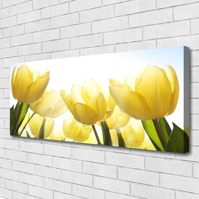 Quadro su tela Tulipani, fiori, raggi