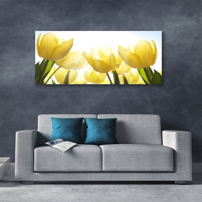 Quadro su tela Tulipani, fiori, raggi