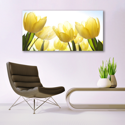 Quadro su tela Tulipani, fiori, raggi