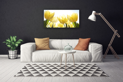 Quadro su tela Tulipani, fiori, raggi