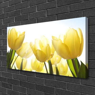 Quadro su tela Tulipani, fiori, raggi