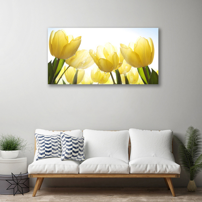 Quadro su tela Tulipani, fiori, raggi