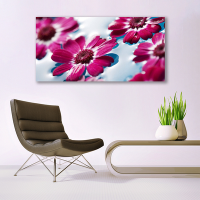 Quadro su tela Fiori sull'acqua Natura