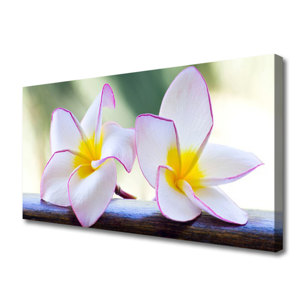 Quadro su tela Fiori di petali di plumeria