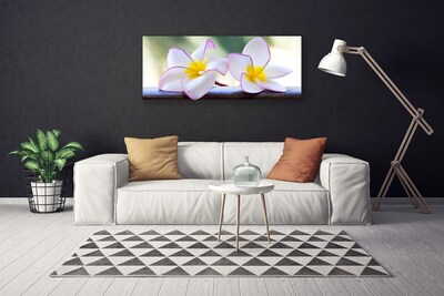 Quadro su tela Fiori di petali di plumeria