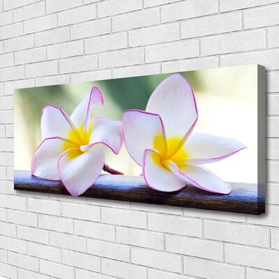 Quadro su tela Fiori di petali di plumeria