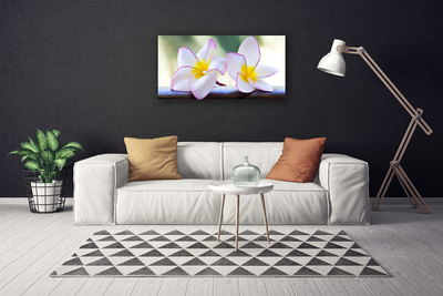 Quadro su tela Fiori di petali di plumeria