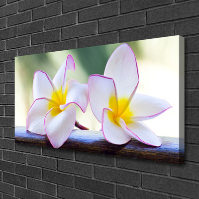 Quadro su tela Fiori di petali di plumeria