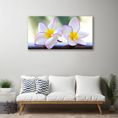 Quadro su tela Fiori di petali di plumeria