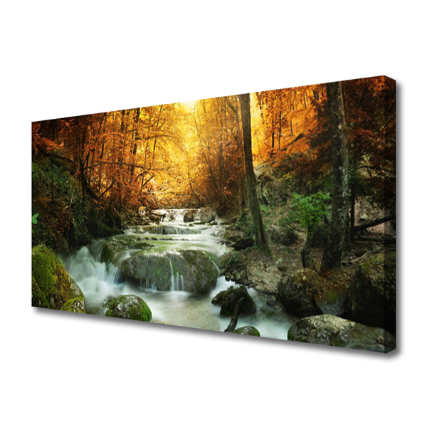 Quadro su tela Cascata Natura Foresta autunnale