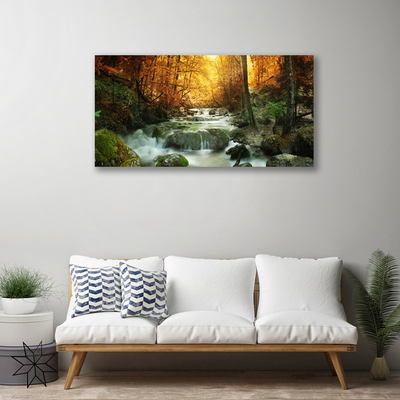 Quadro su tela Cascata Natura Foresta autunnale