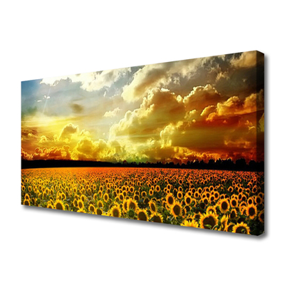 Quadro su tela Paesaggio del campo di girasole