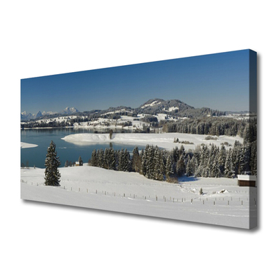 Quadro su tela Terra di montagna del lago di neve