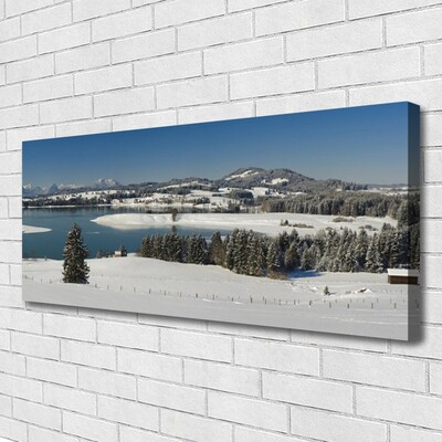 Quadro su tela Terra di montagna del lago di neve