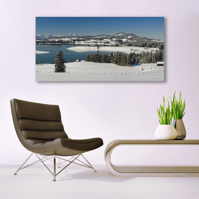 Quadro su tela Terra di montagna del lago di neve