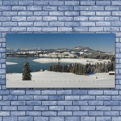 Quadro su tela Terra di montagna del lago di neve