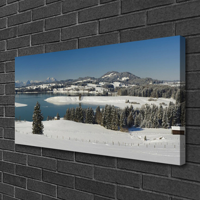 Quadro su tela Terra di montagna del lago di neve