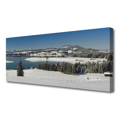 Quadro su tela Terra di montagna del lago di neve