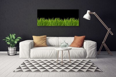 Quadro su tela Natura dell'erba verde