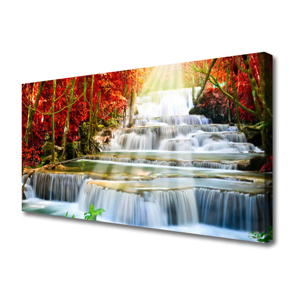 Foto quadro su tela Cascata della foresta naturale