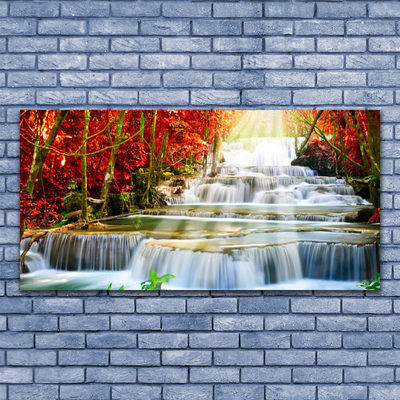 Foto quadro su tela Cascata della foresta naturale