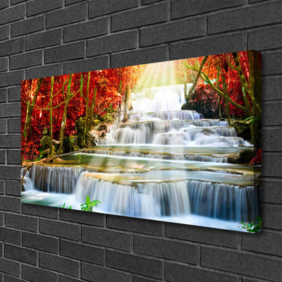 Foto quadro su tela Cascata della foresta naturale