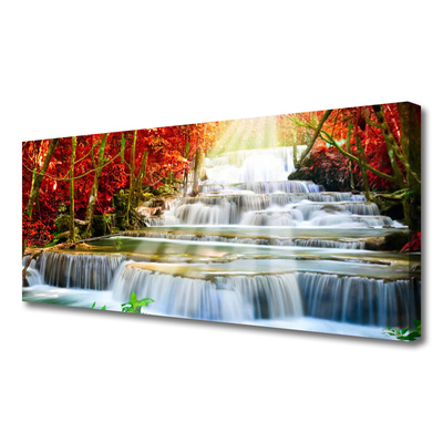 Foto quadro su tela Cascata della foresta naturale