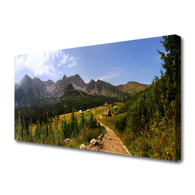 Quadro su tela Montagne di Hala Strada della natura del prato