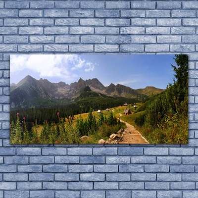 Quadro su tela Montagne di Hala Strada della natura del prato