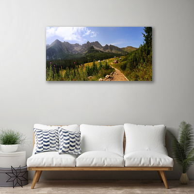 Quadro su tela Montagne di Hala Strada della natura del prato