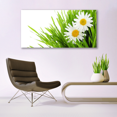 Quadro su tela Margherita Fiore Natura