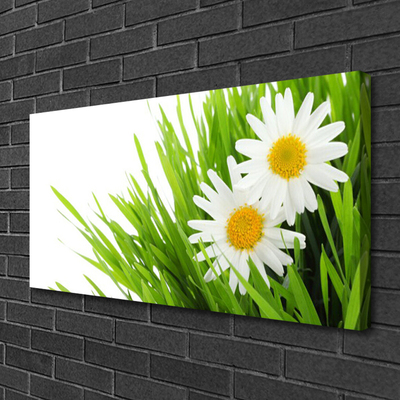 Quadro su tela Margherita Fiore Natura