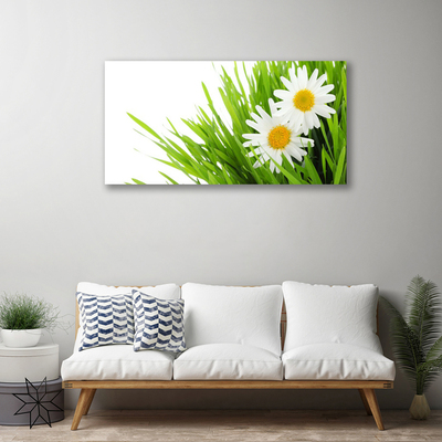 Quadro su tela Margherita Fiore Natura