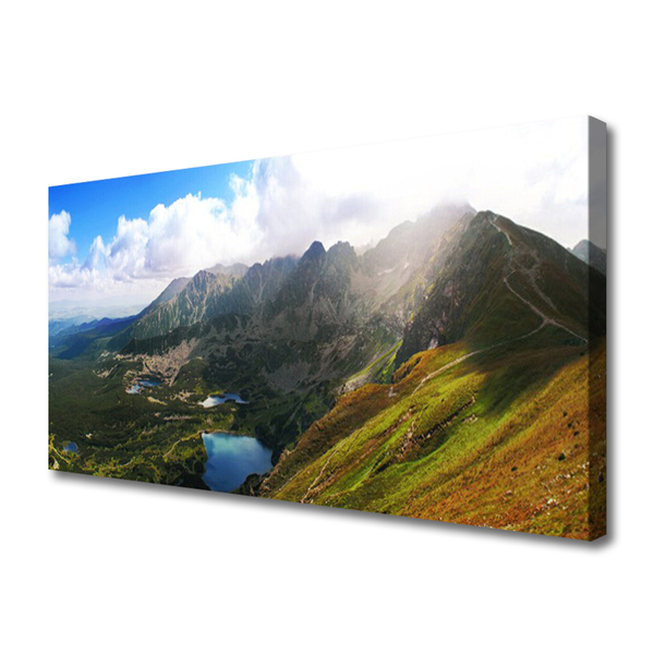 Foto quadro su tela Paesaggio delle montagne del prato