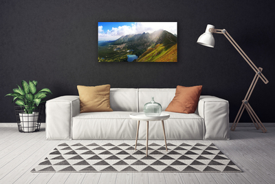 Foto quadro su tela Paesaggio delle montagne del prato