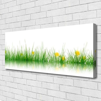 Quadro su tela Fiori di erba della natura